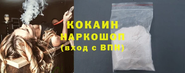 бошки Няндома