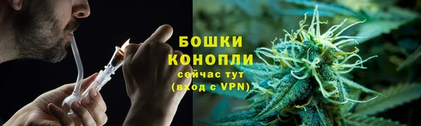 бошки Няндома