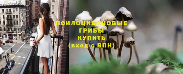 ПСИЛОЦИБИНОВЫЕ ГРИБЫ Нязепетровск