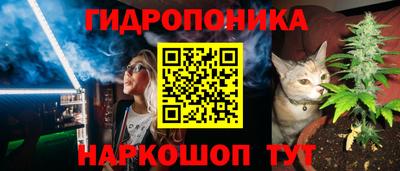 a pvp Малгобек