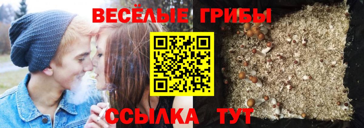 Галлюциногенные грибы прущие грибы  Вход с VPN  Орск 