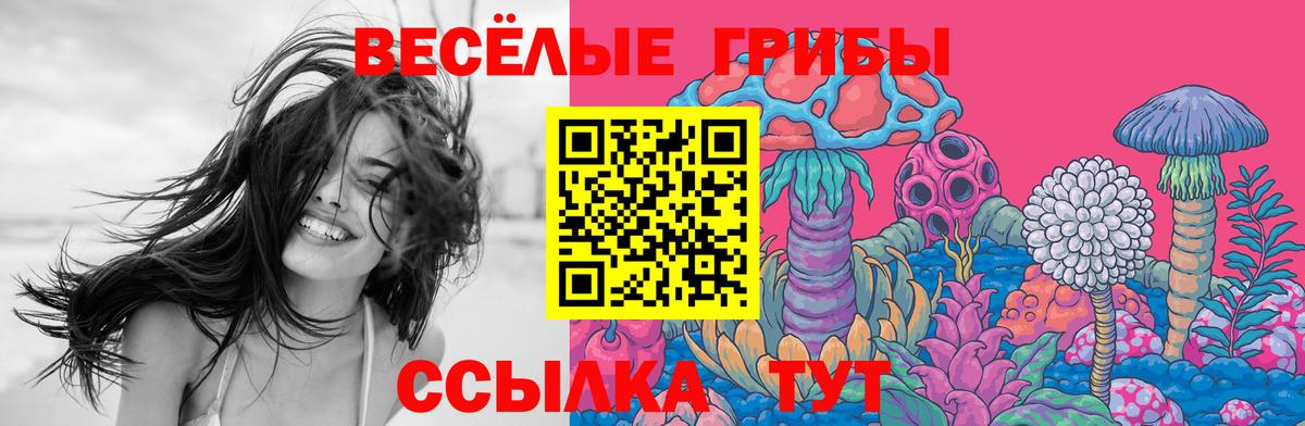 наркотики  Вход с VPN  Орск  Галлюциногенные грибы Psilocybe 